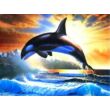 Kép 1/2 - Gyémánt kirakó készlet - Kardszárnyú delfin
