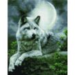 Kép 1/2 - Gyémánt kirakó keretre feszítve - Szürke farkas a holdfényben