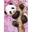 Kép 1/3 - Számfestő - Panda kölyök