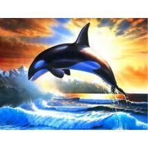 Gyémánt kirakó készlet - Kardszárnyú delfin
