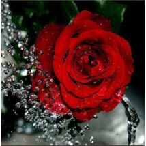 Gyémántkirakó készlet - Piros rózsa cseppekkel