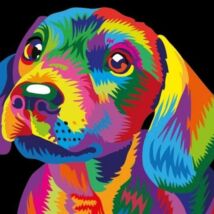 Gyerek számfestő - Színes kutya