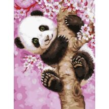 Számfestő - Panda kölyök