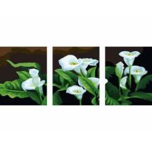 Számfestő - Fehér virágok - 3 részes kép