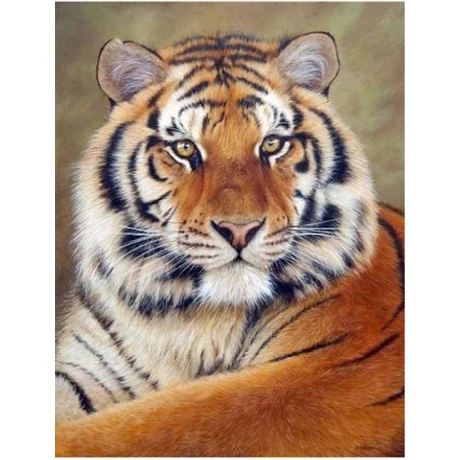Gyémánt kirakó készlet - Tigris 