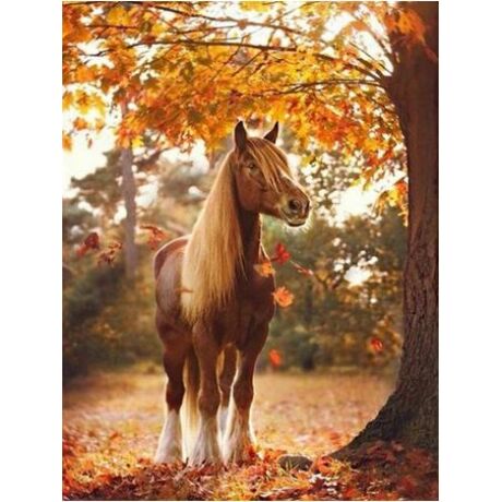 Gyémántkirakó készlet - Barna ló őszi tájban