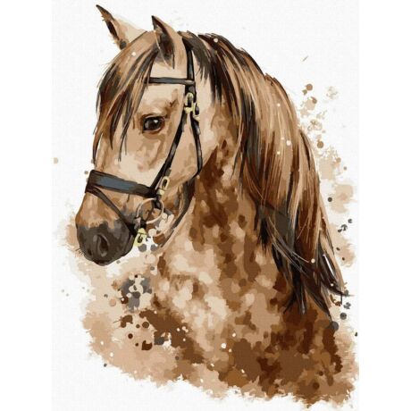 Számfestő - Barna ló