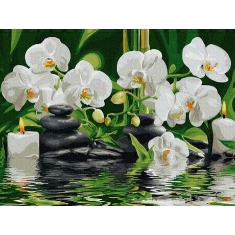 Számfestő - Fehér orchideák