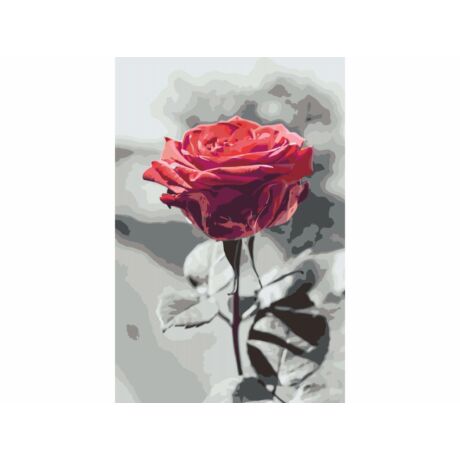 Számozott kifestő - Vörös rózsa